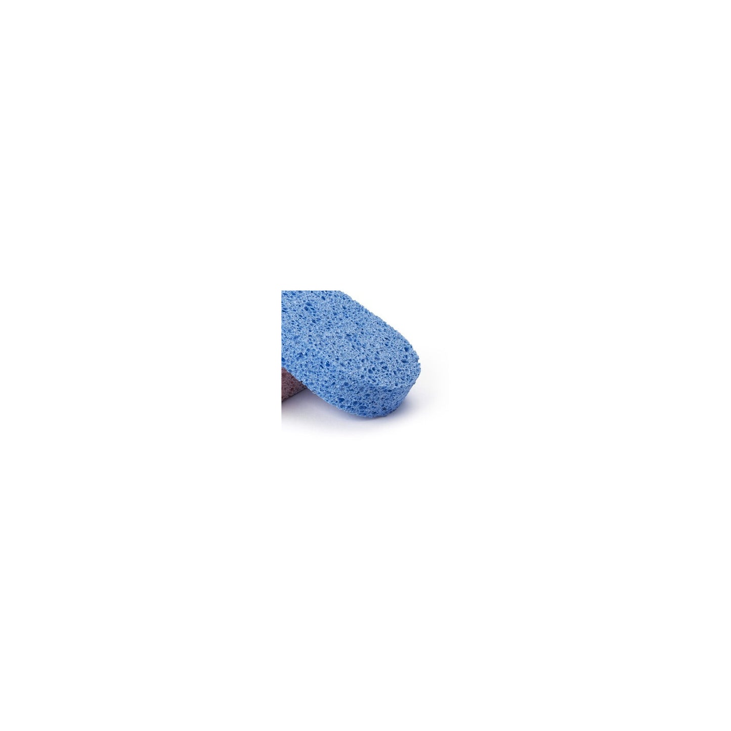 Davidel vegetal cellulose bath sponge, blue oval sponge on white background