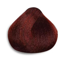 Cargar imagen en el visor de la galería, Tinte permanente antiedad Azalea Avellana