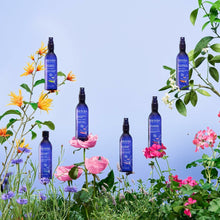 Load image into Gallery viewer, V5H19E1845824C7FD37287A8C5BA78F85F3R6241722P6