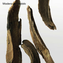 Cargar imagen en el visor de la galería, V4H326299D38D33FC3D983EDE57975D8C0ER7125026P10