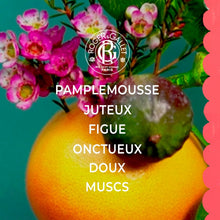 Cargar imagen en el visor de la galería, V4H92533F581588214718F251D8A843208AR7111733P3