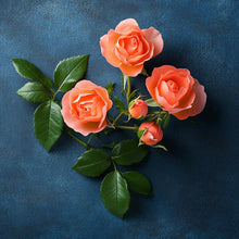 Cargar imagen en el visor de la galería, V4H8455113CA366E8046AF1DAC6DFD8B192R7528115P4