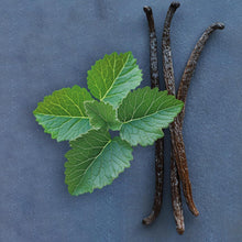 Cargar imagen en el visor de la galería, V4HA402E546EAA28395559BCC34333C22B2R7528116P5