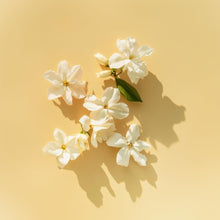 Lade das Bild in den Galerie-Viewer, V4HC76D2598A3767FF1038EA1708FF6CAA4R7540636P2