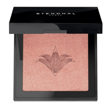 Afbeelding in Gallery-weergave laden, Stendhal Oogschaduw Highlighter Nº 300