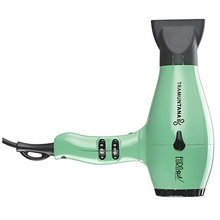 Load image into Gallery viewer, Tramuntana Eurostil Tramuntana Green Hairdryer