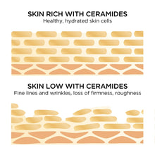 Charger l'image dans la galerie, Anti-Ageing Serum Advanced Ceramide Capsules Elizabeth Arden (90 cap.) - Lindkart