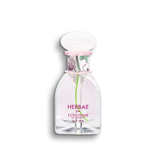Afbeelding in Gallery-weergave laden, Damesparfum L'Occitane En Provence Herbae L'Eau EDT (50 ml)