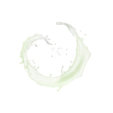 Load image into Gallery viewer, Women's Perfume Payot Pâte Grise (200 ml)