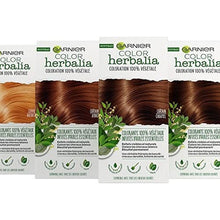 Cargar imagen en el visor de la galería, Teinture Permanente Garnier Herbalia Ambre Châtaigne