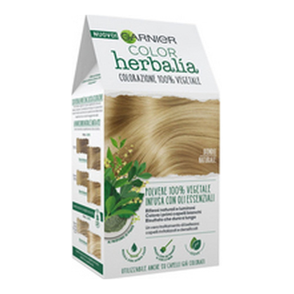 Permanent Dye Garnier Blonde