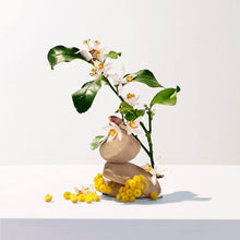 Afbeelding in Gallery-weergave laden, Douchegel Roger & Gallet (200 ml)