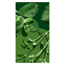 Charger l'image dans la galerie, Gel Douche Infusion Vert Mádara (300 ml)