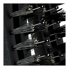 Lade das Bild in den Galerie-Viewer, Brush On The Go Olivia Garden