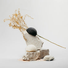 Afbeelding in Gallery-weergave laden, Gezichtsspons Banbu Konjac Actieve houtskool