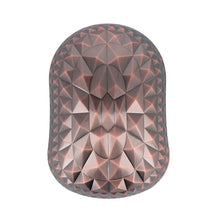 Charger l'image dans la galerie, Brosse Sinelco Tortue