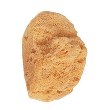 Lade das Bild in den Galerie-Viewer, sponge Beter 116622277 - Lindkart
