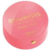Load image into Gallery viewer, Blush Little Round Bourjois - Lindkart