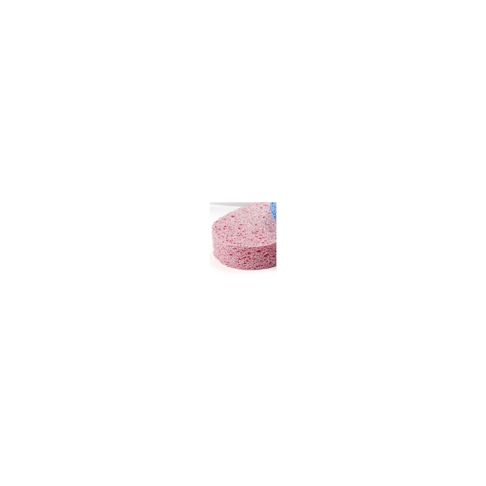 Davidel vegetal cellulose bath sponge, pink oval sponge on white background