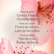 Lade das Bild in den Galerie-Viewer, V4H029D432E27B76117FA4CEDA3B627E7A3R7407089P4
