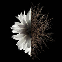 Load image into Gallery viewer, V5H4F6C68948B6ADA165E7B530CCE988CC6R6239565P3
