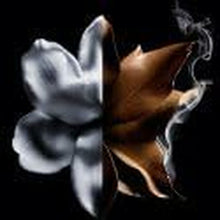 Cargar imagen en el visor de la galería, V5HB551176E9735A398D9C45A87597EAFFER6239984P6
