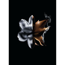 Charger l'image dans la galerie, V5HA94868E4507C3D603F80BBACB150FA25R6240162P6
