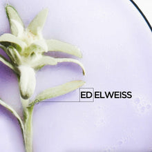 Charger l'image dans la galerie, V4H3902DD2B4B20B6224BDB6CD9470151DFR5608394P10
