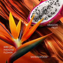 Lade das Bild in den Galerie-Viewer, V5H68A311BD8D8E926A49EED6215D0B49CDR6240854P3
