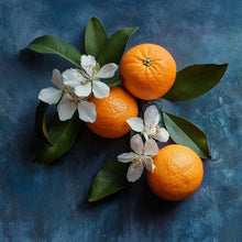 Cargar imagen en el visor de la galería, V4H51FC29EC60B3CB3E4568E7E148D99D2FR7528114P3
