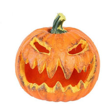 Cargar imagen en el visor de la galería, Calabaza de colores
