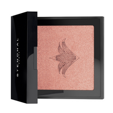 Load image into Gallery viewer, Stendhal Eyeshadow Highlighter Nº 300

