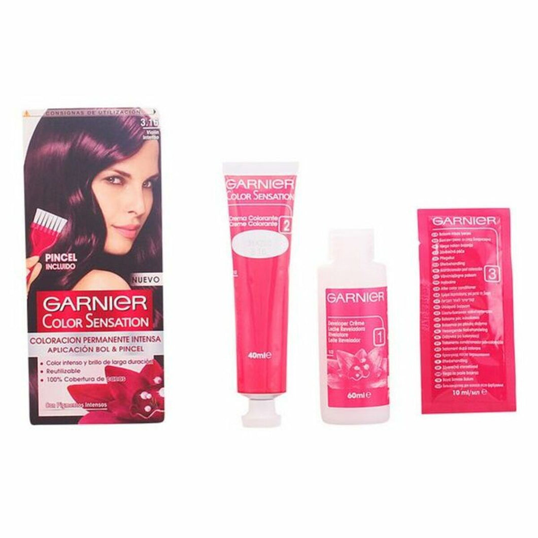 Coloration Permanente Color Sensation Garnier