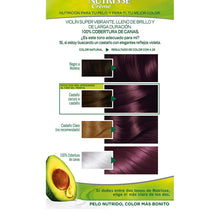 Cargar imagen en el visor de la galería, Teinture Permanente Garnier Nutrisse Cassis Nº 4,26
