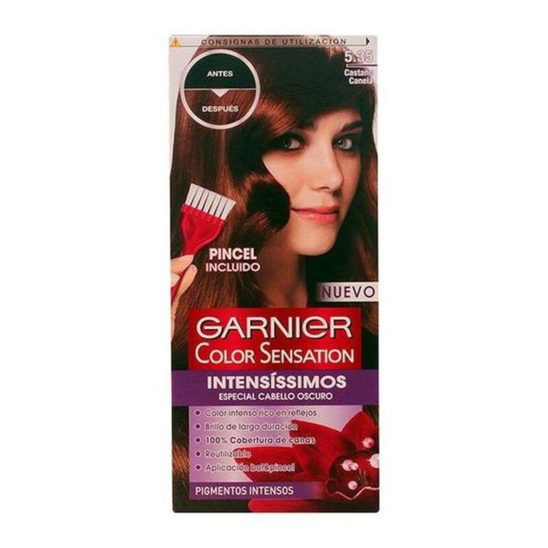 Coloration Permanente Color Sensation Intensissimos Garnier Châtaigne Cannelle