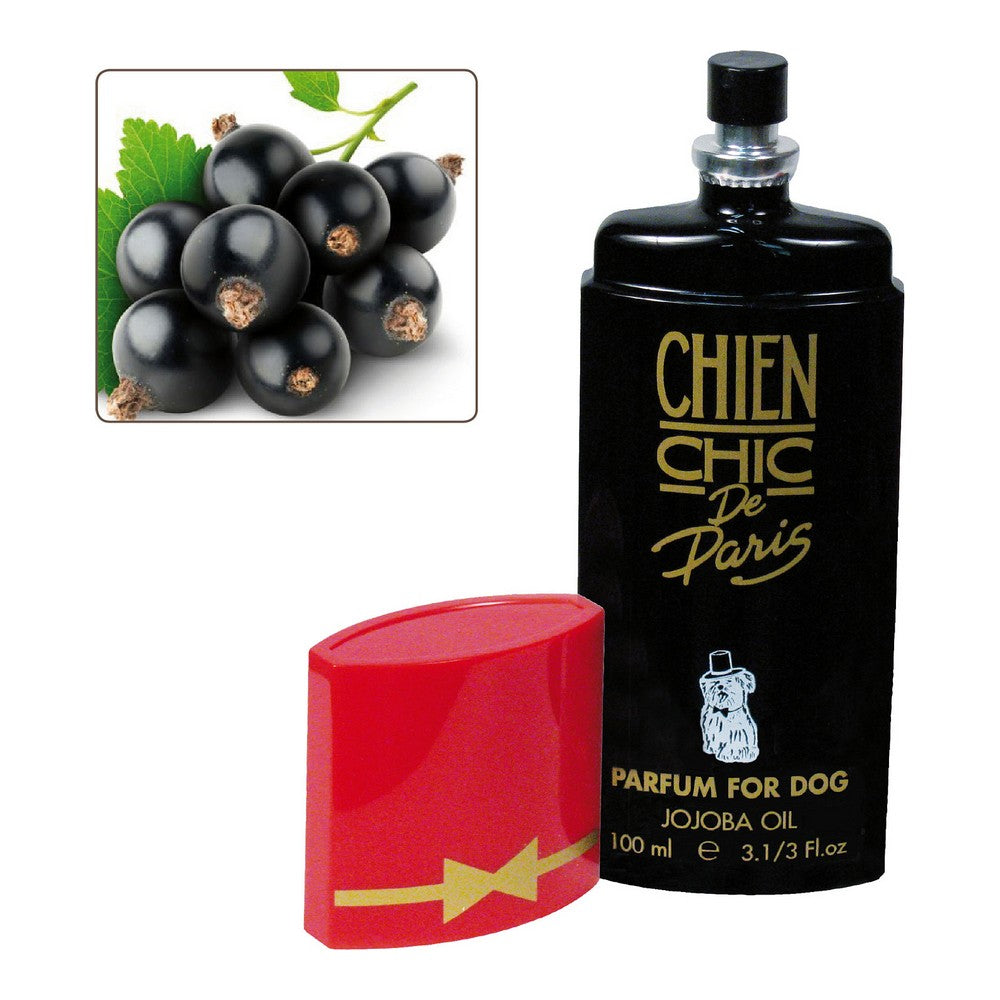 Parfum voor Huisdieren Chien Chic Hond Rode bes (100 ml)