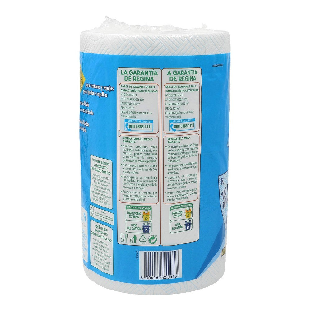 Kitchen Paper Regina Blitz Premium