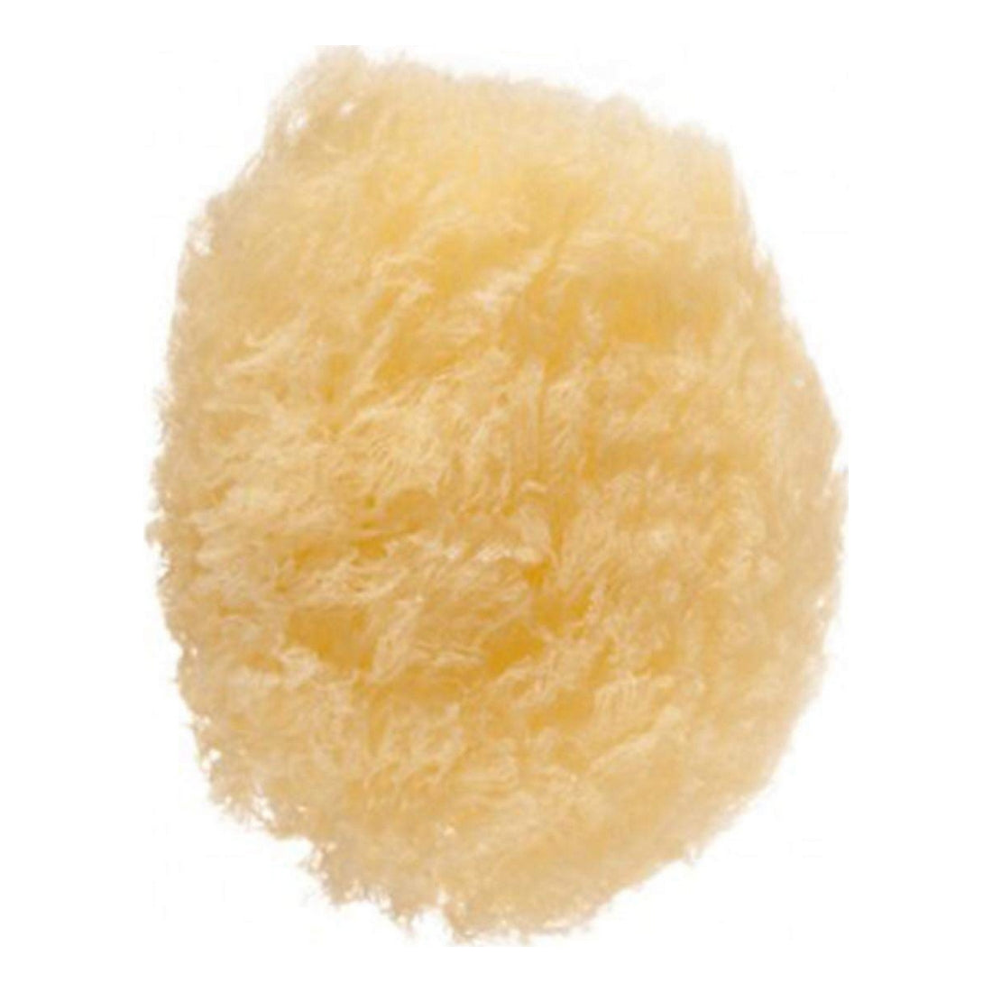 Body Sponge Eurostil