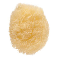 Body Sponge Eurostil