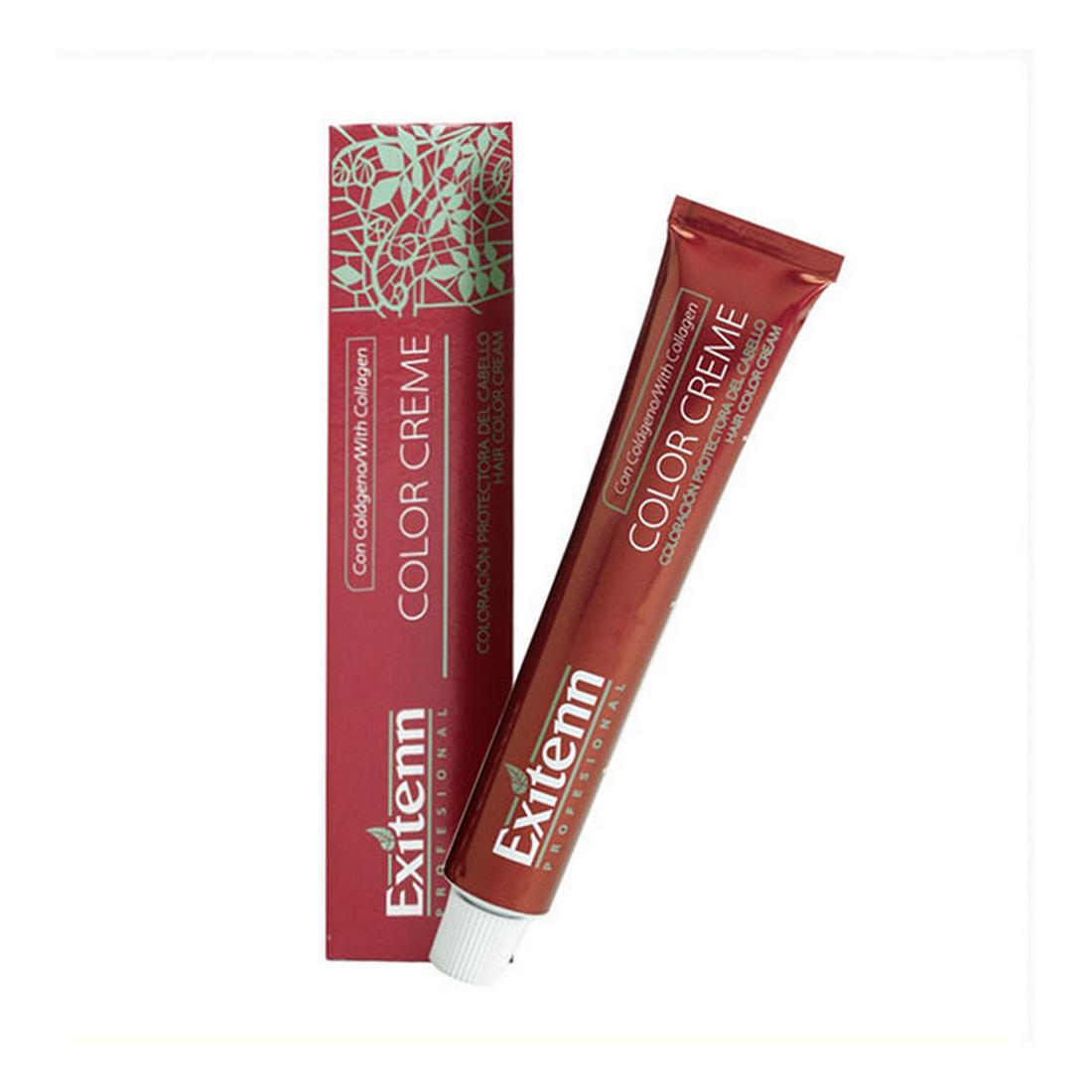 Permanente Kleurstof Kleur Crème Exitenn Nº 2 Rood Fuchsia (60 ml)