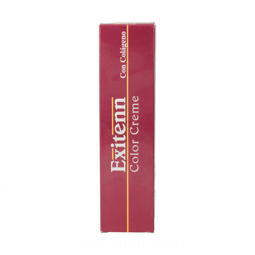 Teinture Permanente Exitenn Color Creme Nº 10.00 (60 ml)